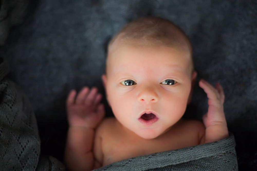 Newborn Photographer Tampa FL