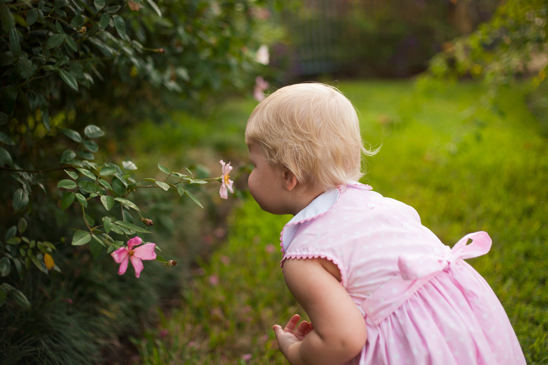 beautiful Toddler photography in Tampa