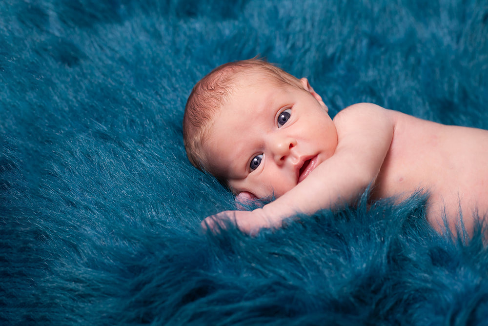 Newborn baby boy lying on deep blue fur looking into the camera with eyes wide open