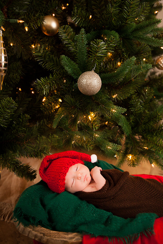 Newborn baby in a wooden bowl under the Christmas Tree
