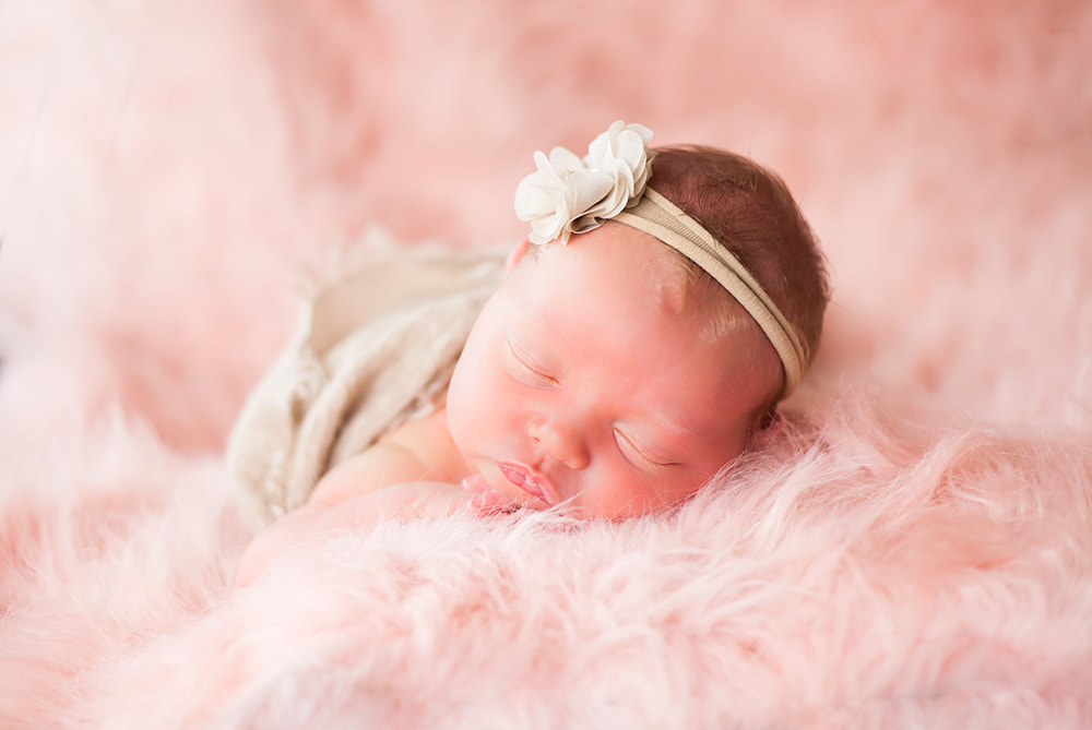 Newborn baby photograph in tampa Florida. baby lies on her tummy surrounded by fluffy fur