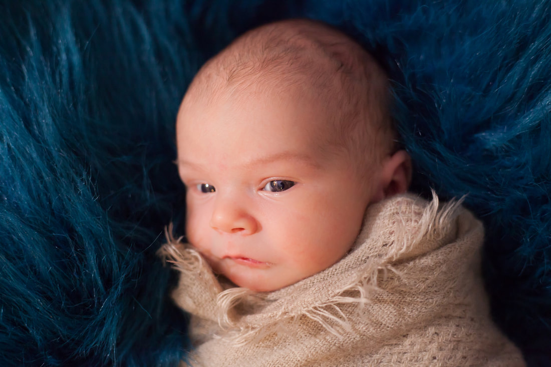 newborn baby boy looks into the camera while swaddled in tampa FL