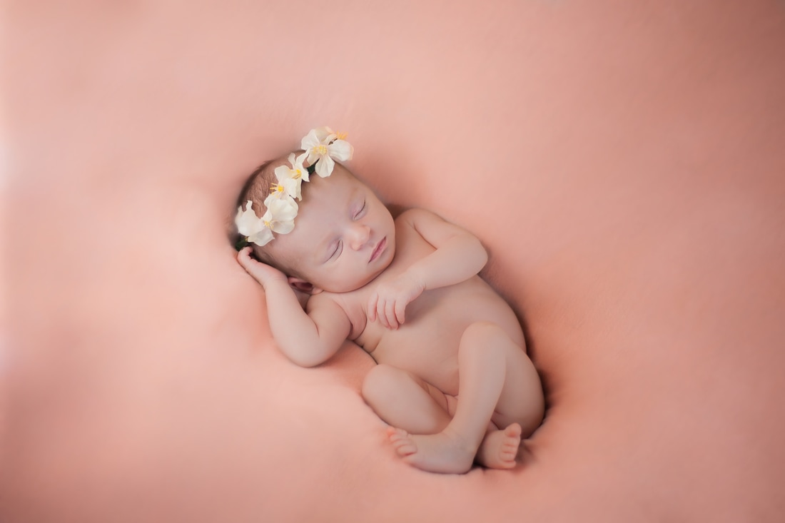 Newborn Photography Tampa
