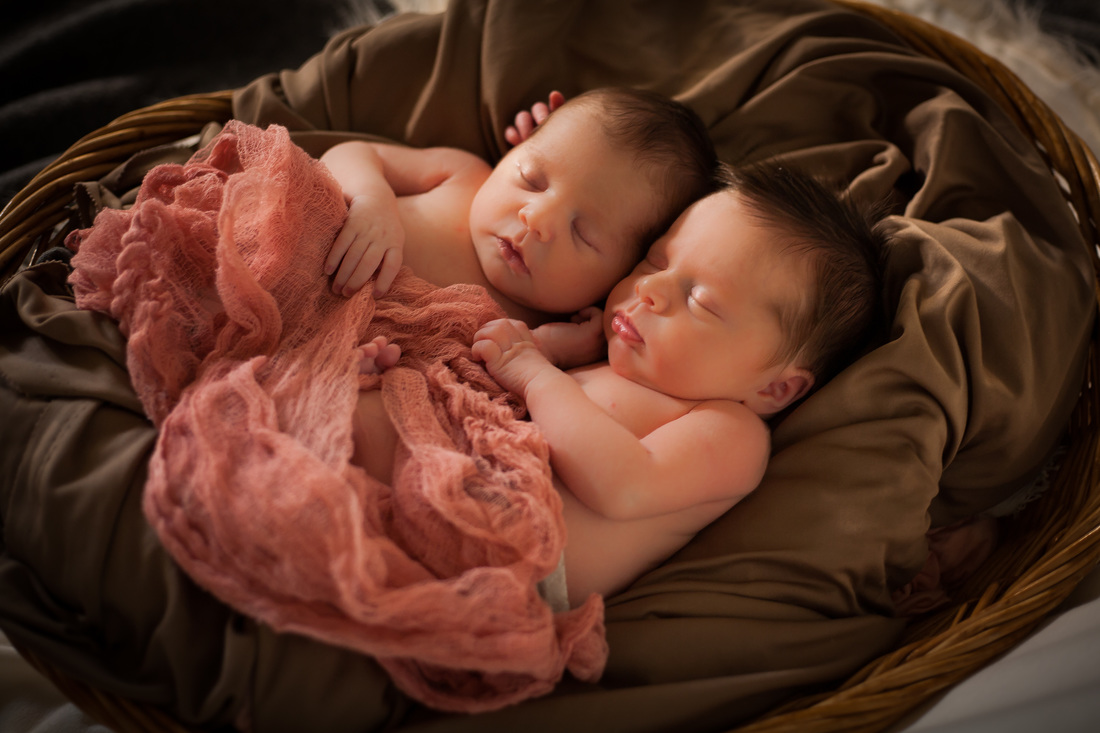 Newborn Twins in Tampa