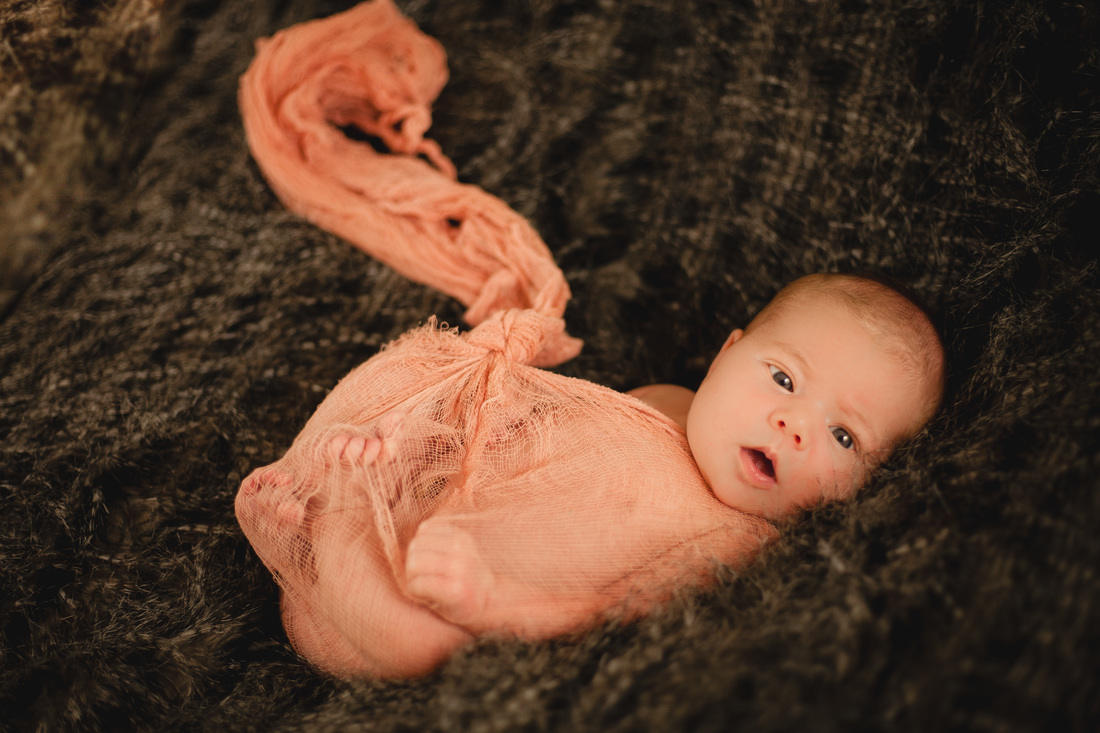 Tampa baby Photography