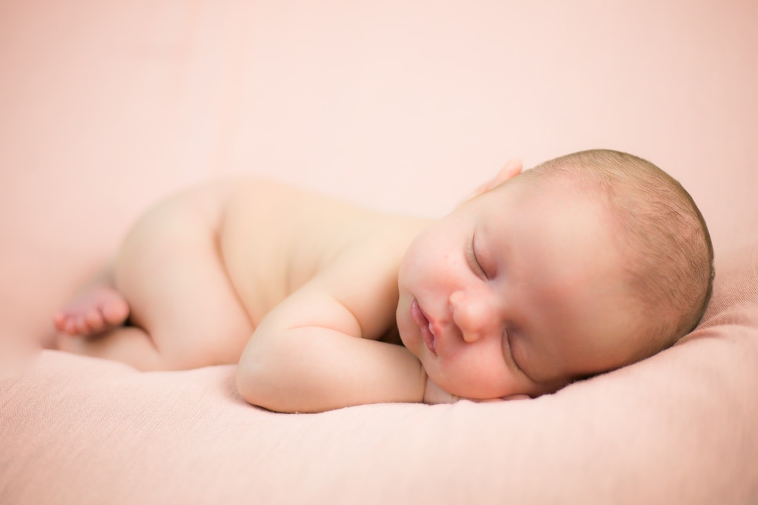 tampa newborn baby naked on pink background