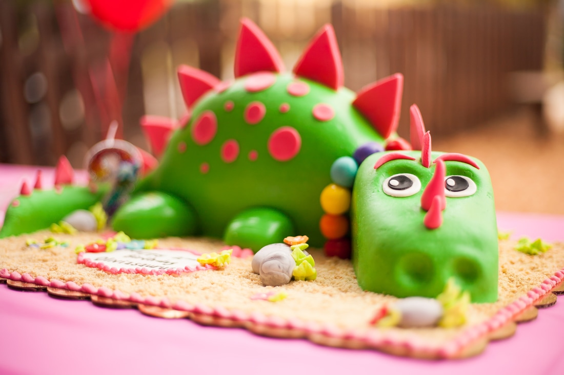 Dinosaur world birthday party photographer