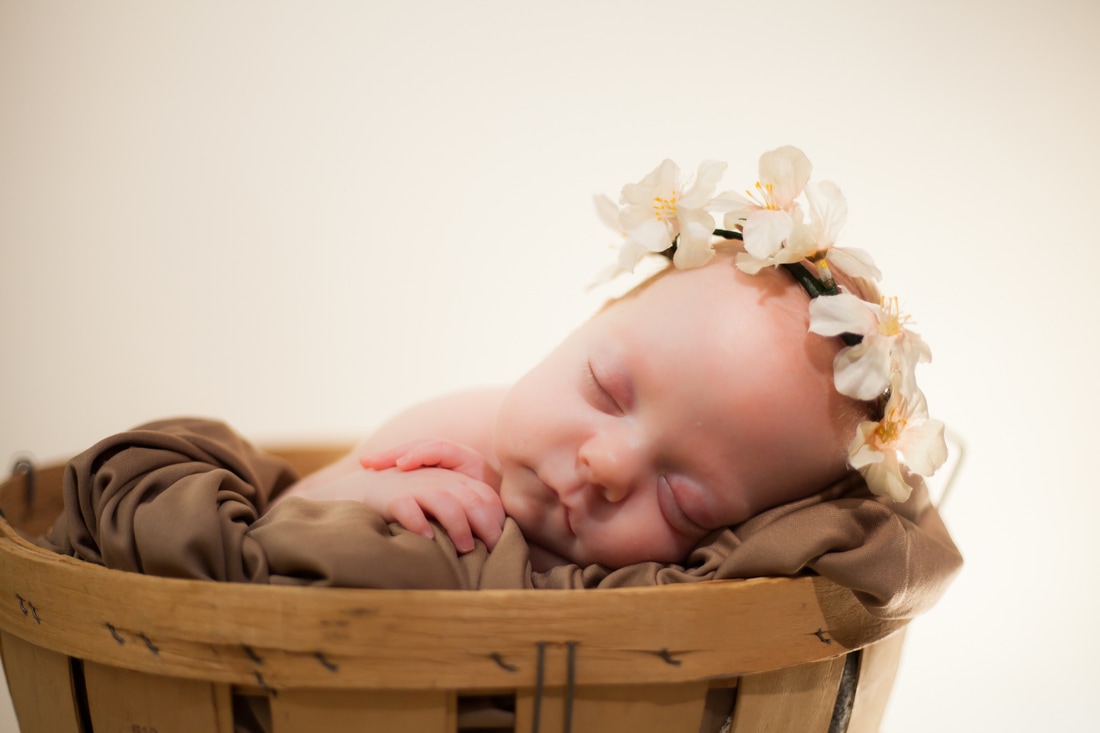 newborn baby with flower crown in tampa