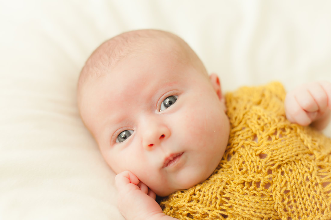 baby looks into camera with eyes wide open. Newborn photo taken in Tampa Florida