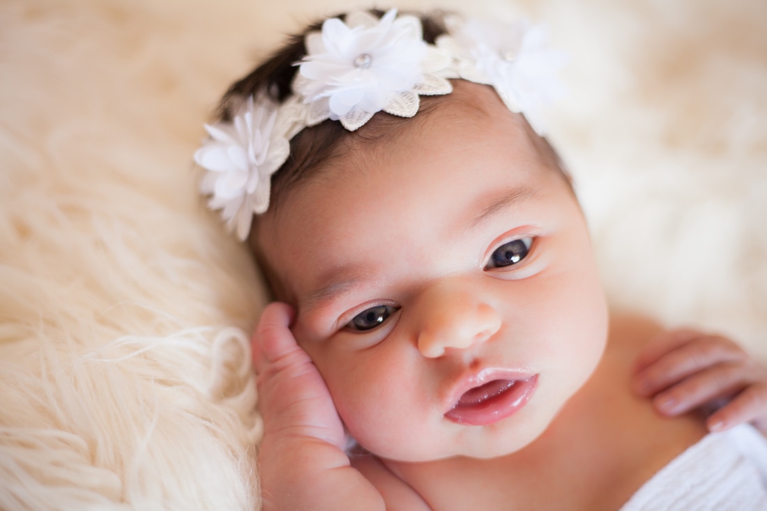 Newborn baby with flower headband newport richey fl