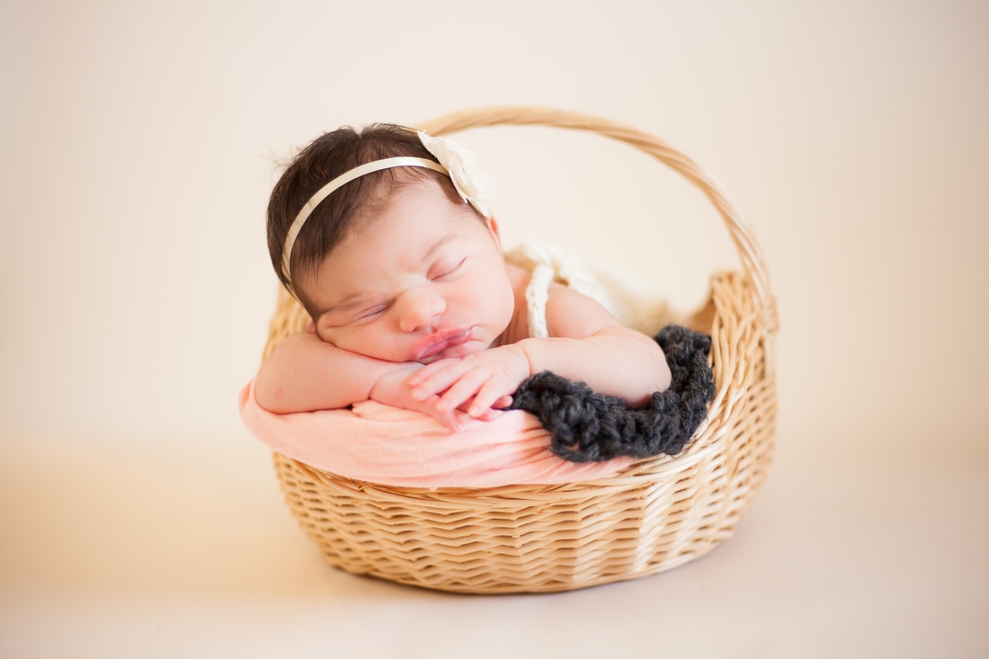 Newborn girl in basket in tampa fl