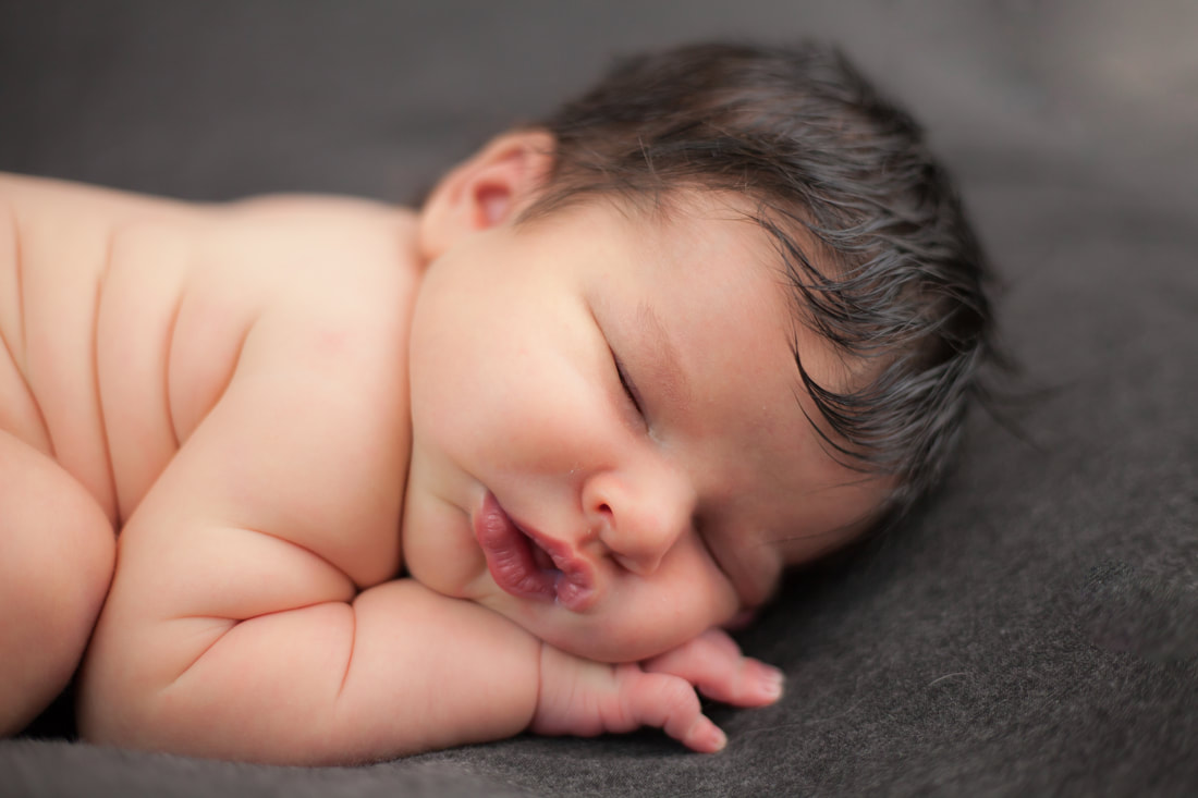 Newborn baby photograph in tampa fl