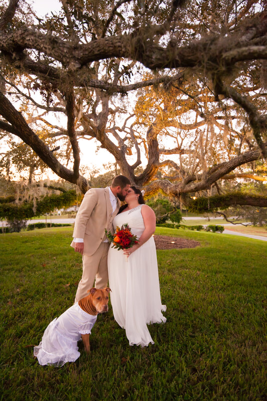 Bride and groom kiss under oak tree canopy, Citrus Hills country club