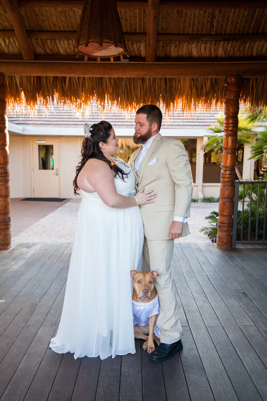 Bride and Groom Portrait with dog in Tampa FL