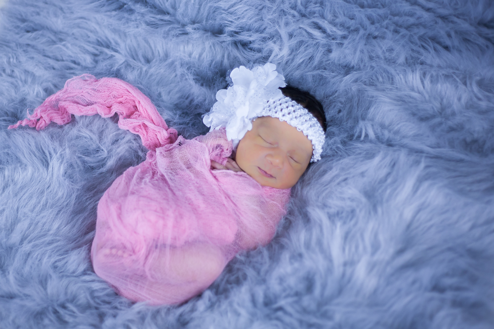 Newborn Photography in Tampa