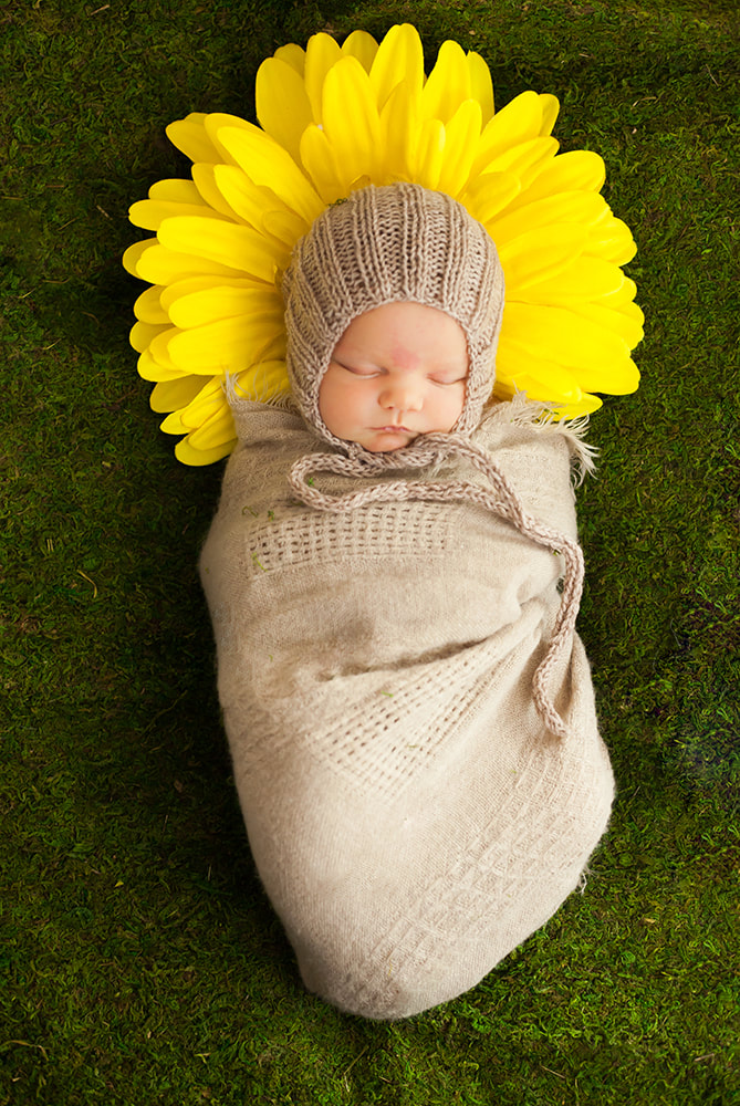 newborn baby girl swaddled and lying on a yellow sunflower